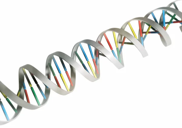 Genetica Gene Cromosoma Cellule Del Dna — Foto Stock