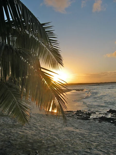 Belle Île Maurice Nation Dans Océan Indien — Photo