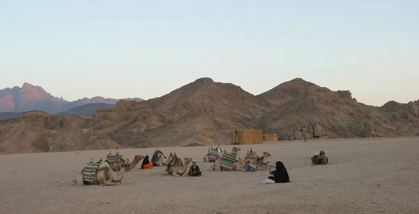 Resting Place Bedouin — Stock Photo, Image
