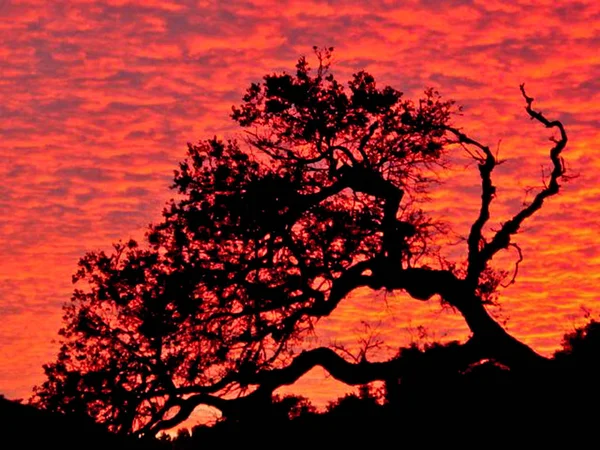 Bela Vista Céu Por Sol — Fotografia de Stock