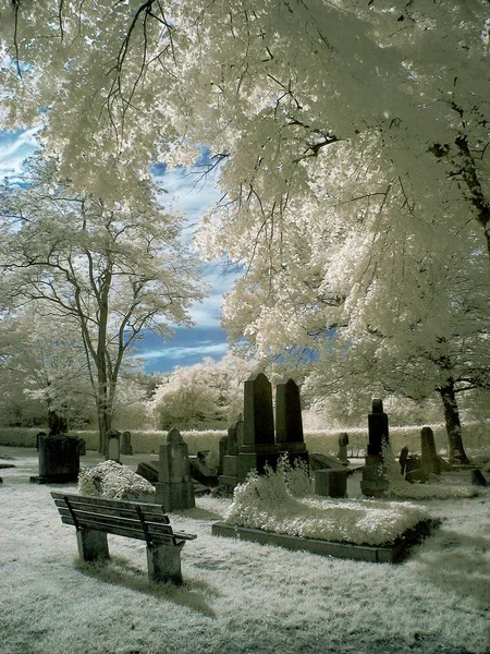 Couleur Infrarouge Nin Dans Kérpen Cimetière Juif — Photo