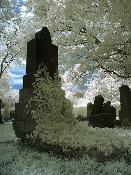 Cor Infravermelho Nin Querpen Cemitério Judaico — Fotografia de Stock