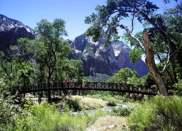 Zion National Park Utah United States — стоковое фото