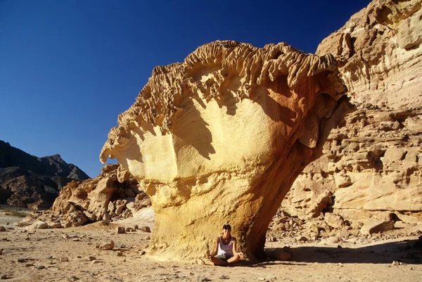 Paisaje Del Cañón Formación Geológica Naturaleza —  Fotos de Stock