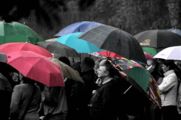 Seule Couleur Temps Est Probablement Les Parapluies — Photo