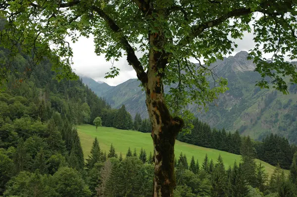 Θέα Από Gerstruben Μερικά Όμορφα Ορεινά Αγροκτήματα Στα Βουνά Νότια — Φωτογραφία Αρχείου