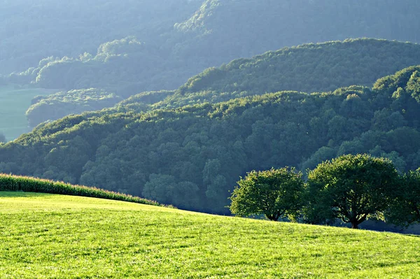 Prati Colline Piedi Del Sud Del Giura Oberbipp Svizzera Verde — Foto Stock