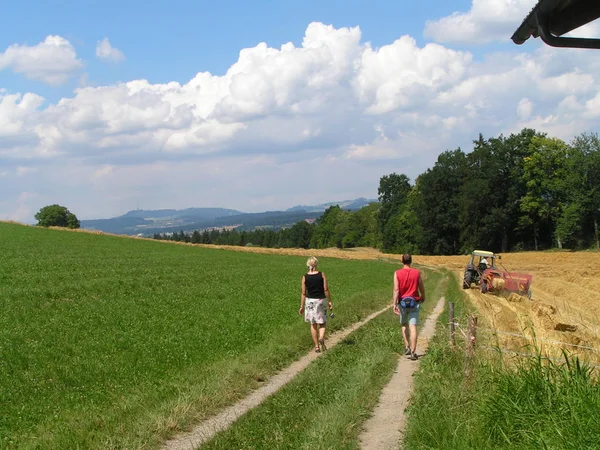 Landschapsbeeld Selectieve Focus — Stockfoto