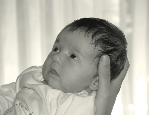 Schilderachtig Uitzicht Van Schattig Peuter Kind — Stockfoto