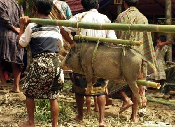 Dead Ceremony Sulawesi Photographed Torajaland Here You See Guest Who — Stock Photo, Image