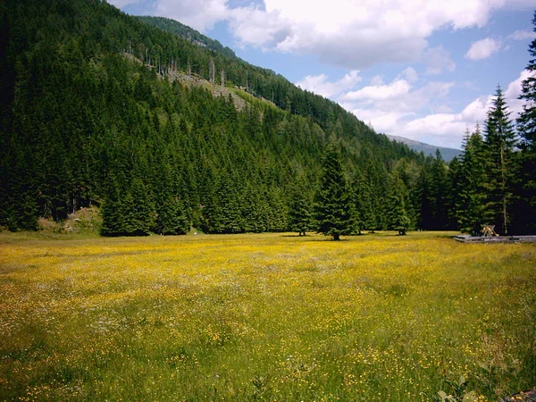 Tekrar Ediyorum Sadece Bir Fotoğraf — Stok fotoğraf