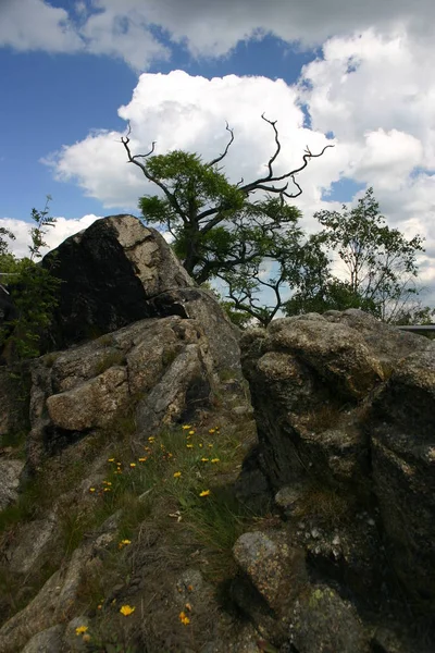 Schöne Aussicht Auf Die Naturlandschaft — Stockfoto