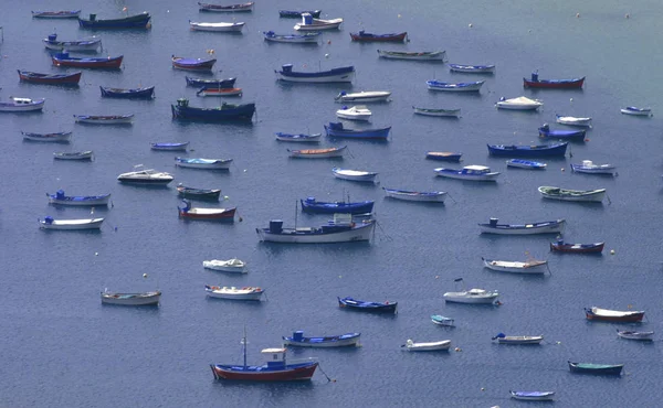 Bateaux Bateau Pêche Bateau Transport — Photo