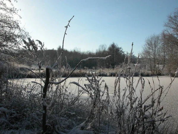 Vista Pitoresca Bela Paisagem Inverno — Fotografia de Stock