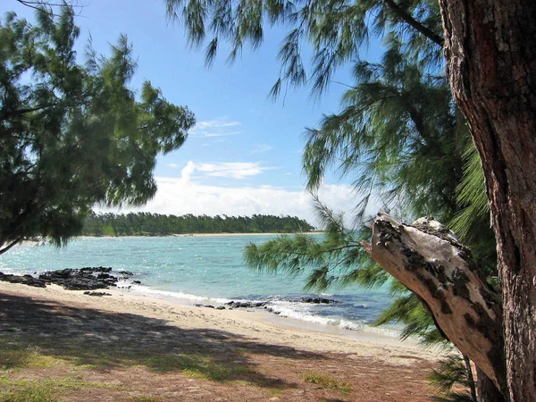 Mauricio Ile Aux Cerfs — Foto de Stock