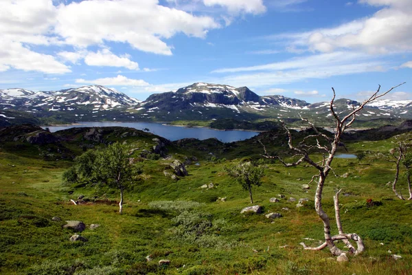 Norsko Skandinávská Země Zahrnující Hory Ledovce Hluboké Pobřežní Fjordy — Stock fotografie