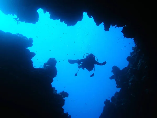 Plonger Dans Les Profondeurs Mer Rouge — Photo