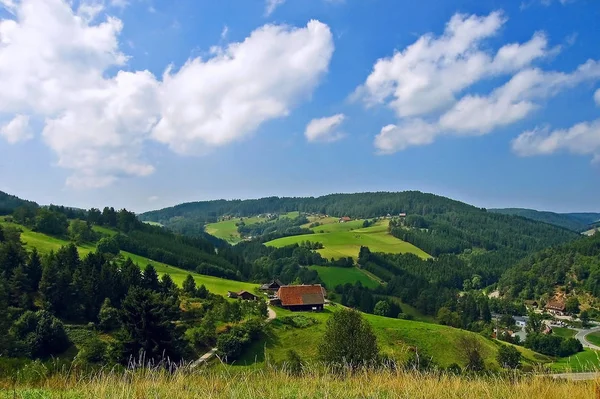 Añadido Schwarzwald Entre Tennenbronn Schramberg Una Gira Caballo —  Fotos de Stock