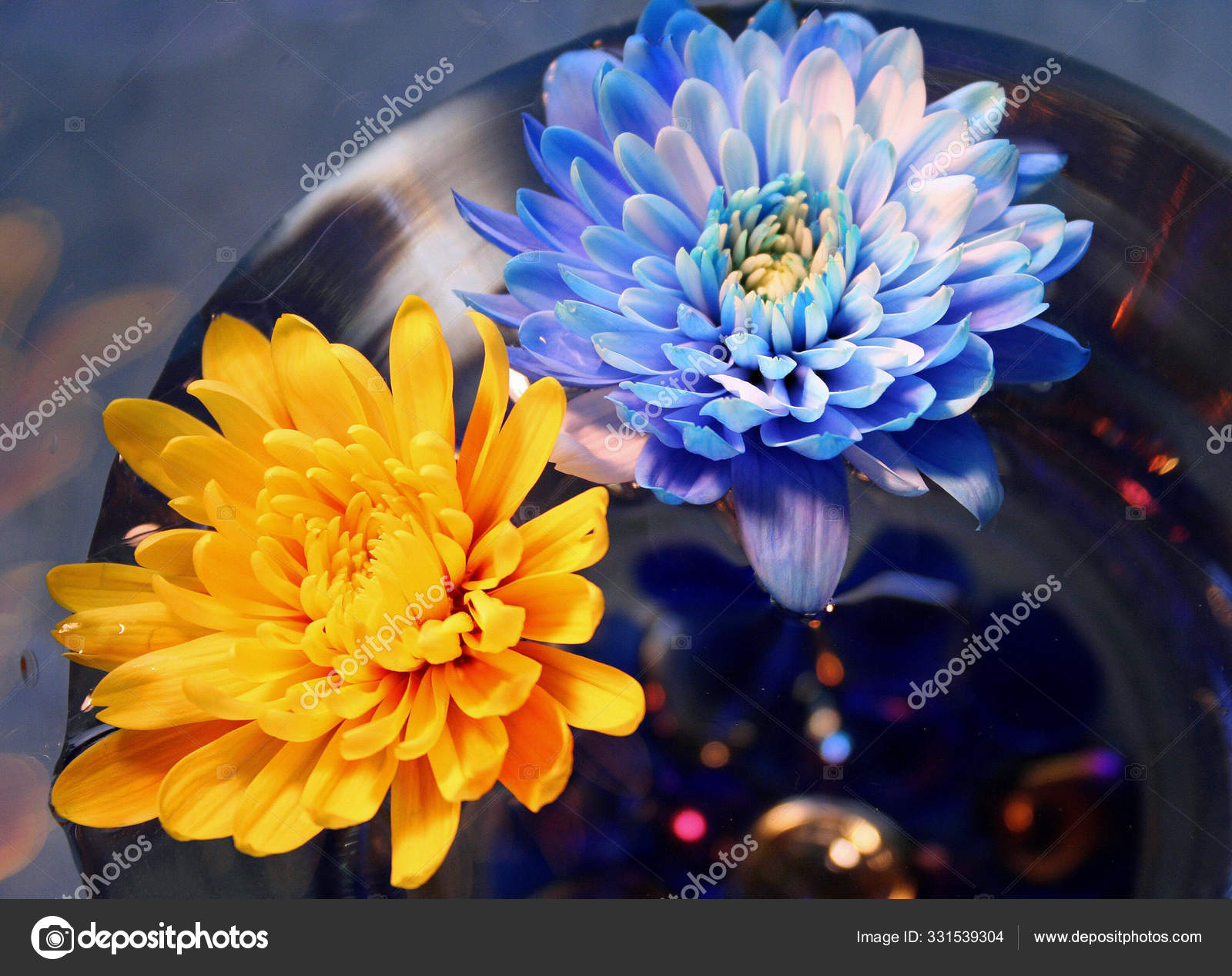 Hermoso Plano Botánico Fondo Pantalla Digital — Foto de stock #331539304 ©  PantherMediaSeller, image size:1600x1267