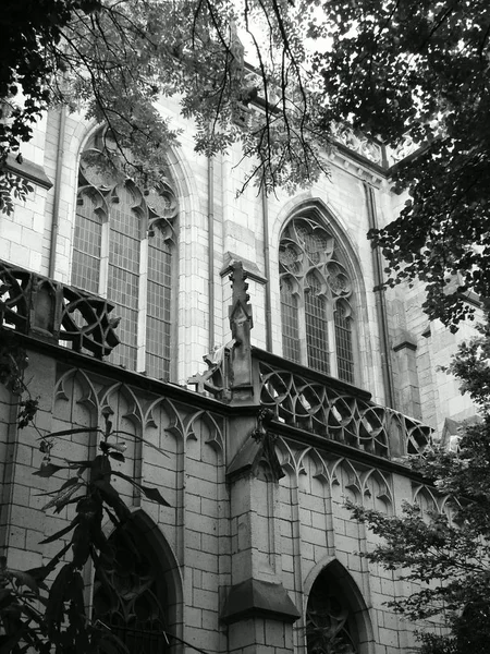 Colonia Ciudad Alemania — Foto de Stock