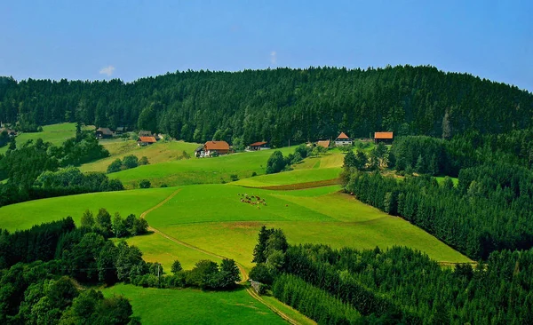 Einer Der Wenigen Tage Mit Echtem Sommergefühl Diesem Kalten Und — Stockfoto