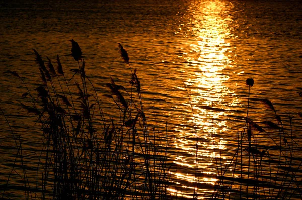 Bella Vista Della Scena Della Natura — Foto Stock