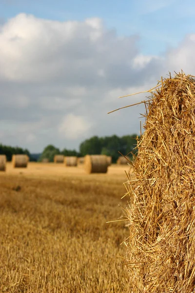 Vue Pittoresque Sur Les Paysages Campagne — Photo