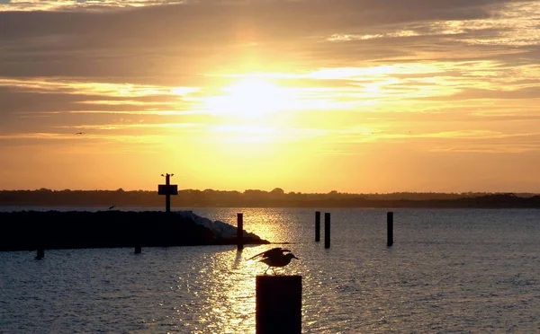 Malerischer Blick Auf Den Schönen Hafen — Stockfoto