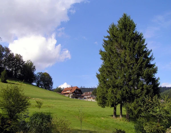 Bella Vista Del Paesaggio Naturale — Foto Stock