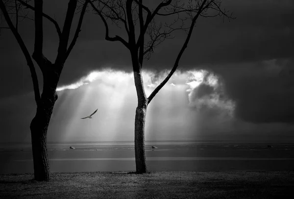 Nuages Dans Ciel Dans Atmosphère — Photo