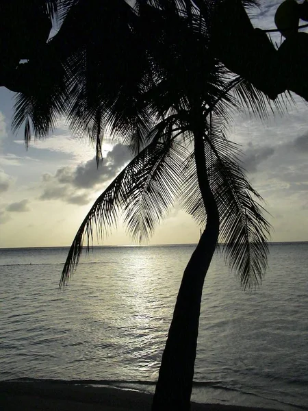 Coucher Soleil Sur Les Maldives — Photo