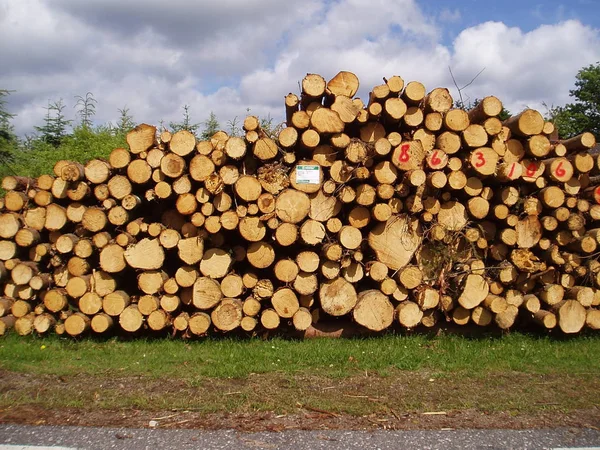2005年1月のスウェーデンでの世紀の嵐は あまりにも多くの木にバックルし 南のスウェーデン全体がキンクされた森林地帯から木材を引き抜き 路上で前処理株を積み重ねることを余儀なくされました 大きな損失を出しました — ストック写真