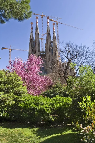 Sagrada Familia Printemps — Photo