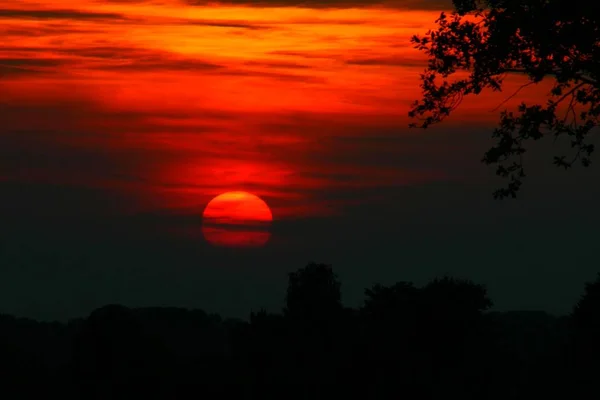 Heute Abend Meinem Lieblingsbaum Vor Salzkotten — Stockfoto