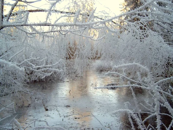 Utsikt Över Vinterscen — Stockfoto