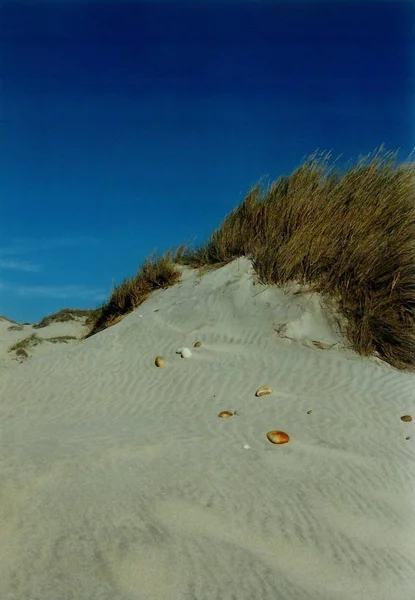 Playa Noroeste Portugal — Foto de Stock