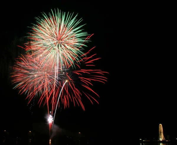 Fuegos Artificiales Explosión Cielo Nocturno Celebración — Foto de Stock