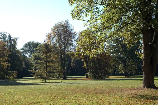 Parken — Stockfoto