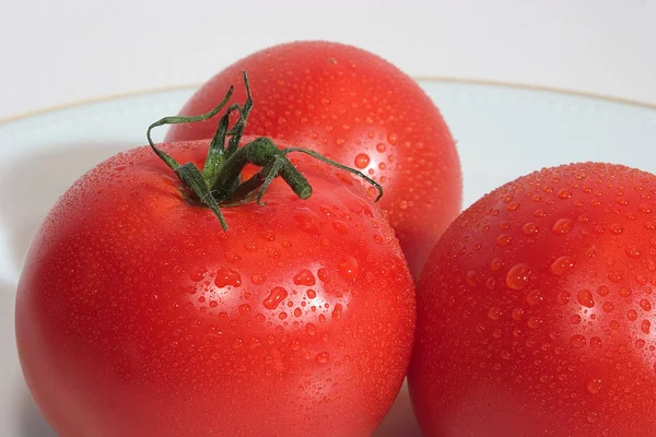 Fresh Red Ripe Organic Tomatoes — Stock Photo, Image