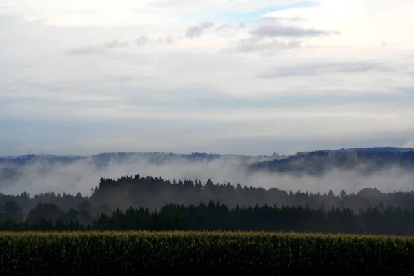 Prachtig Uitzicht Het Natuurlandschap — Stockfoto