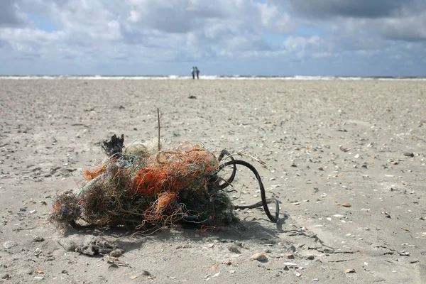 Marine Scene Outdoor Shot — Stock Photo, Image