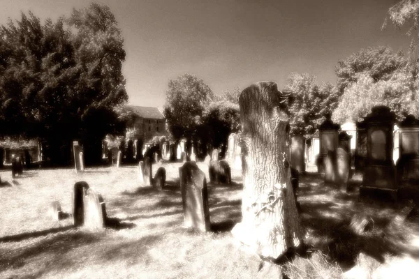 Photo Shows Jewish Cemetery — 스톡 사진