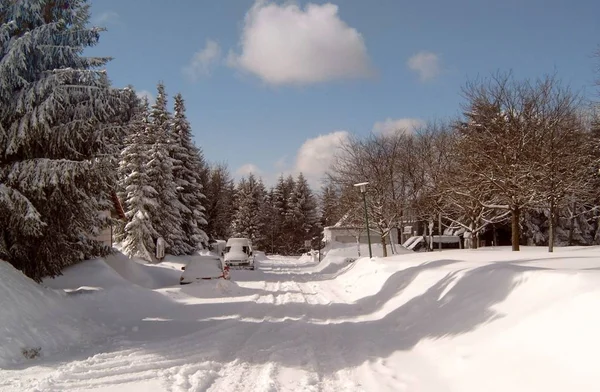 Inverno Harz — Fotografia de Stock