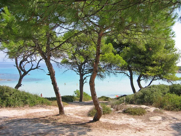 Zomer Natuur Zee Kustlijn — Stockfoto