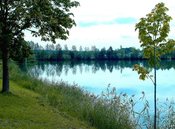 Piękny Widok Przyrodę — Zdjęcie stockowe