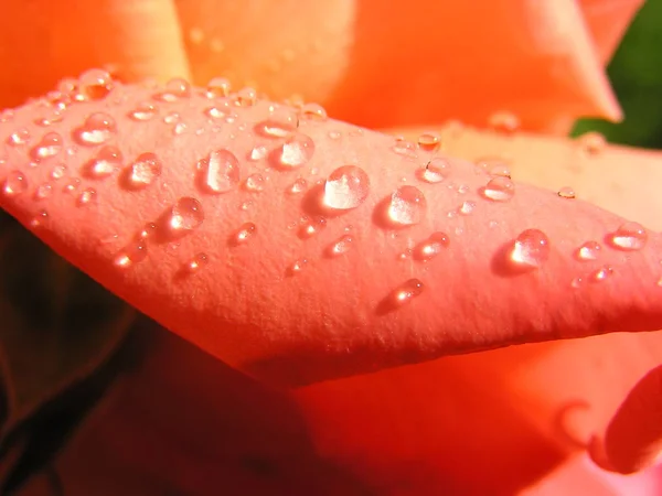 Imagem Conceitual Gotas Água Abstratas — Fotografia de Stock