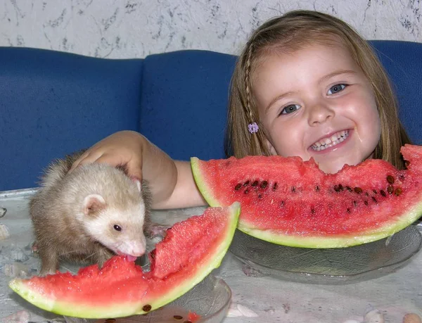 Hija Dice Postre Reacio Pero Cuando Pequeño Amigo Los Hace —  Fotos de Stock