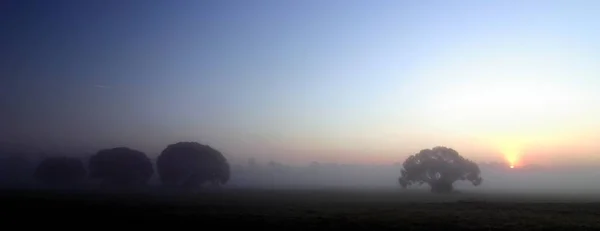 Schöne Aussicht Auf Die Natur — Stockfoto