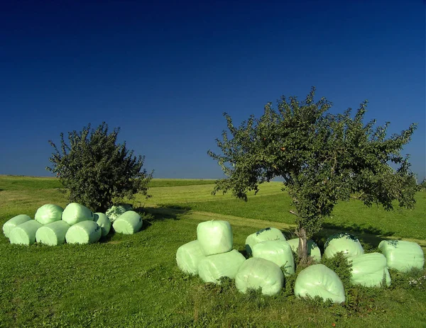 Também Swabia Ele Desta Vez Fica Verde Visto Krumbach — Fotografia de Stock