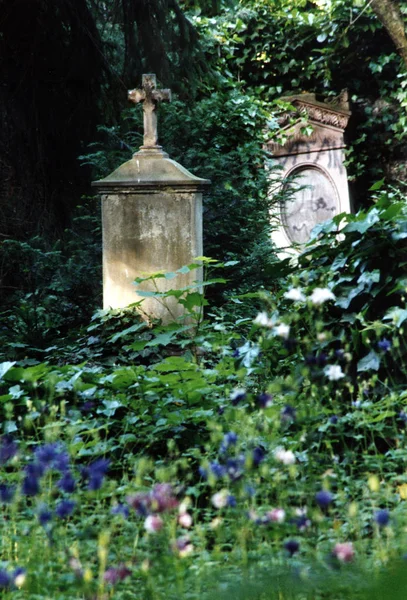 Starý Hřbitov Neuwied — Stock fotografie